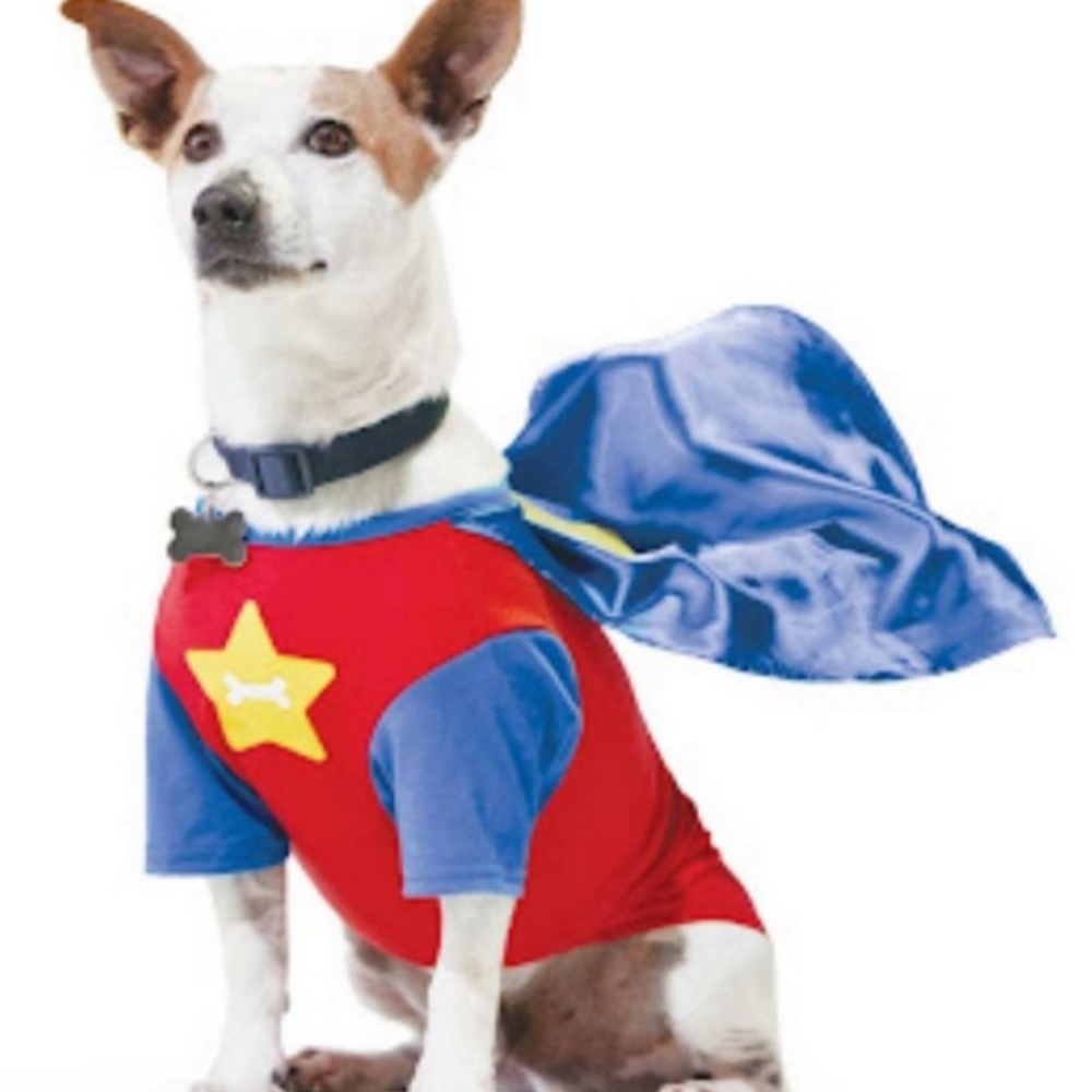 Dog Halloween costume